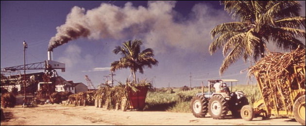 20120526-sugar cane refinery.jpg